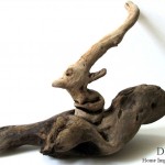 driftwood