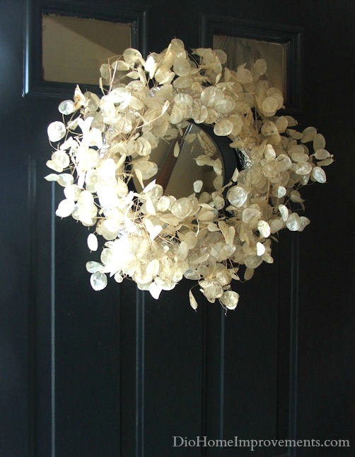 Money Plant Wreath
