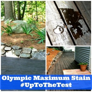 OLympic Maximum Stain #Uptothetest #Sponsored