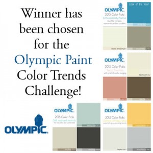 Winner of the Olympic Paint Challenge!